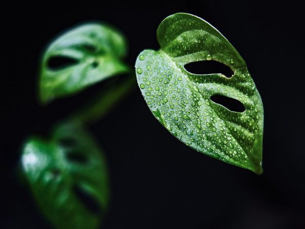 威尼斯电影节金狮奖奖杯特写，金色狮子雕塑在蓝天背景下闪耀，代表色戒荣获2007年最高荣誉